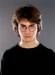 harry3.jpg
